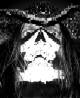 Tullian Zombie's Avatar