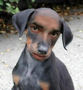 XoX_ROB_XoX's Avatar