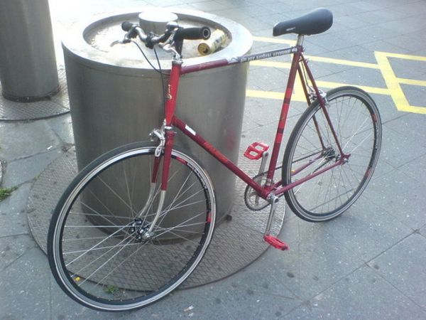My Beloved Raleigh ;)